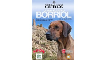 Concurso canino en Borriol 